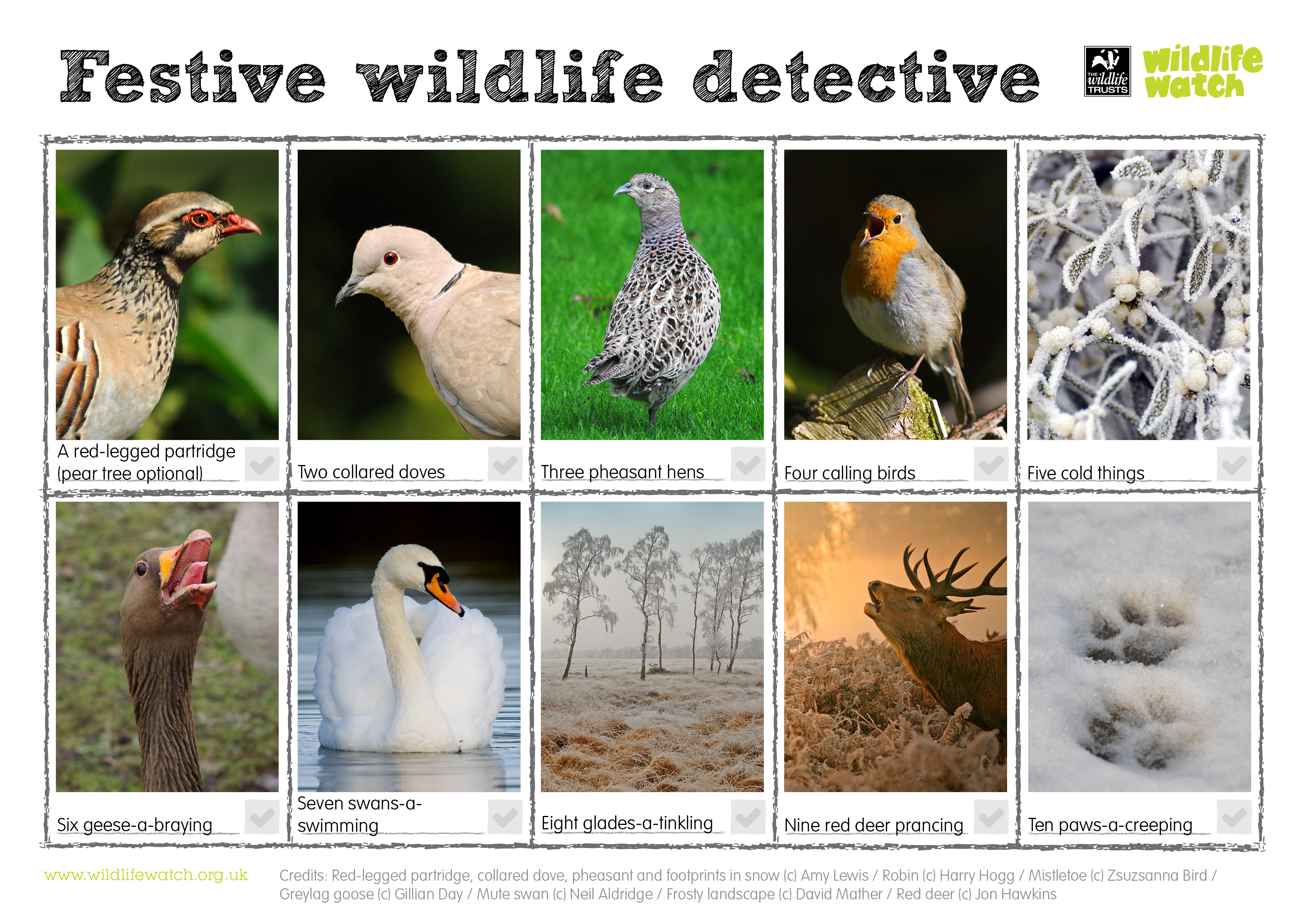 How to help wildlife | Surrey Wildlife Trust